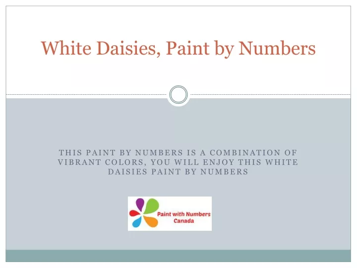 white daisies paint by numbers
