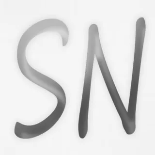 10 Facts About sinuanonoche.com