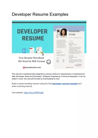 Developer Resume Examples