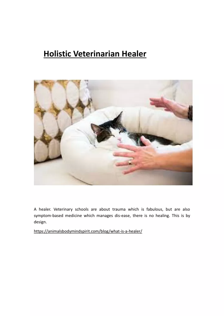 holistic veterinarian healer