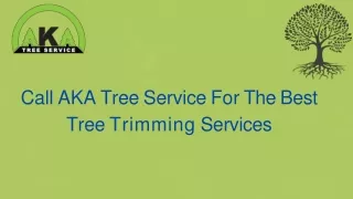 Get Ultimate Tree Removal Assistance At AKA Tree Service