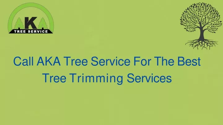 call aka tree service for the best tree trimming services