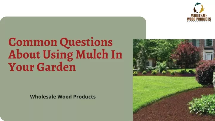 common questions about using mulch in your garden