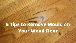 5 Tips to Remove Mould on Your Wood Floor