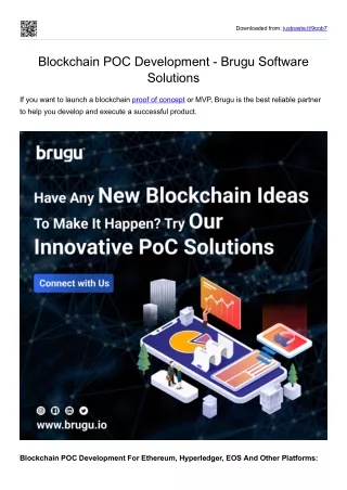 Blockchain POC Development - Brugu Software Solutions