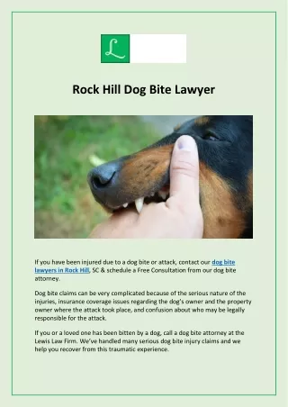 Rock Hill Dog Bite Lawyer