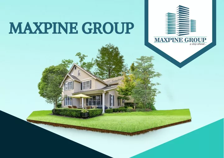 maxpine group