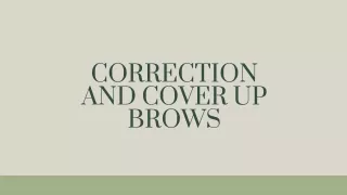 correction and cover up brows