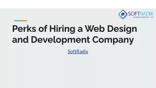 Perks of Hiring a Web Design and Development Company