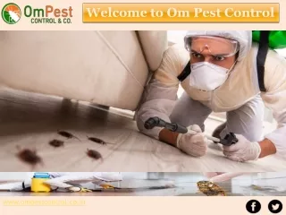 Hire Best Pest Control Services Odisha at Om Pest Control