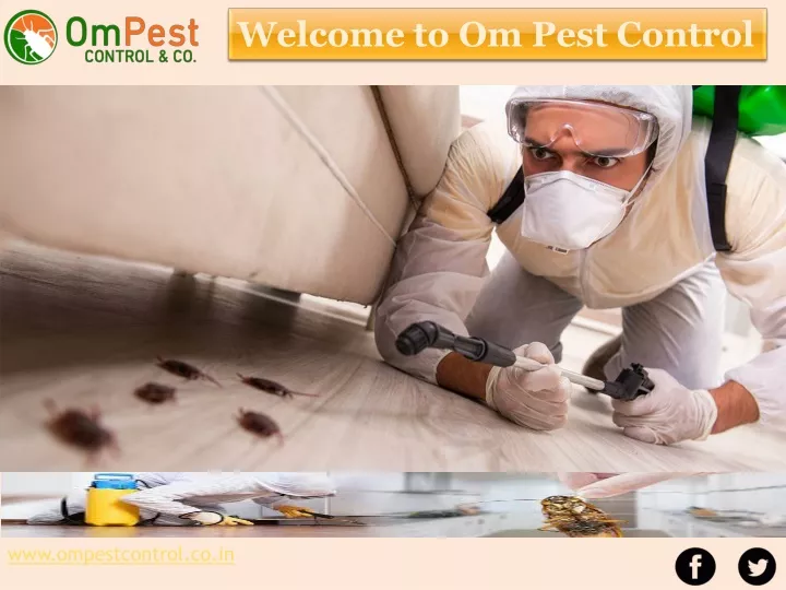 welcome to om pest control