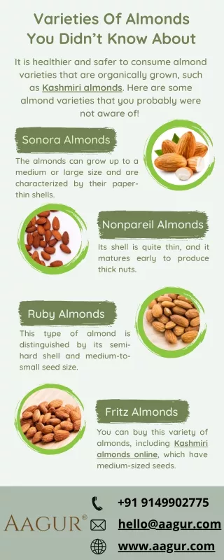 Varieties Of Almonds You Didn’t Know About