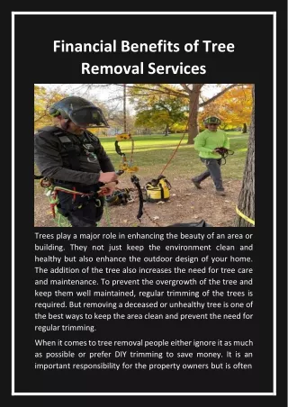 Financial Benefits of Tree Removal Services