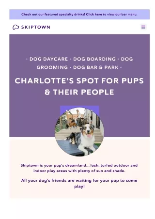 Dog Bars in Charlotte