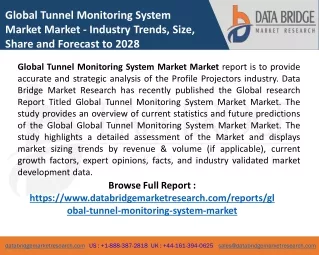 Global Tunnel Monitoring System Market