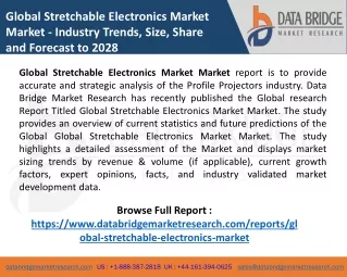 Global Stretchable Electronics Market