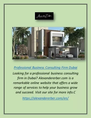 Professional Business Consulting Firm Dubai | Alexandererber.com