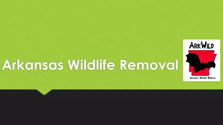 arkansas wildlife removal