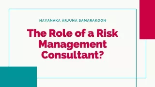 Do Risk Management Consultants Have a Role?