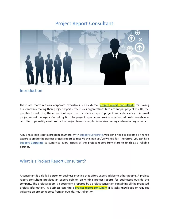 project report consultant