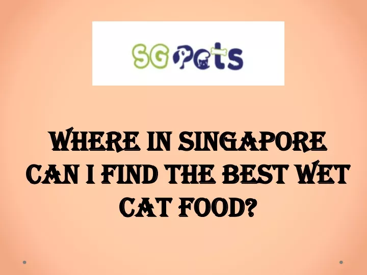 where in singapore can i find the best
