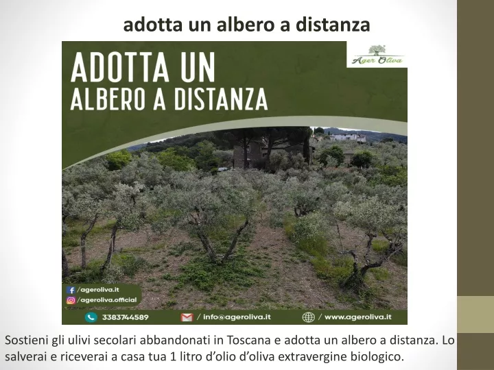 adotta un albero a distanza