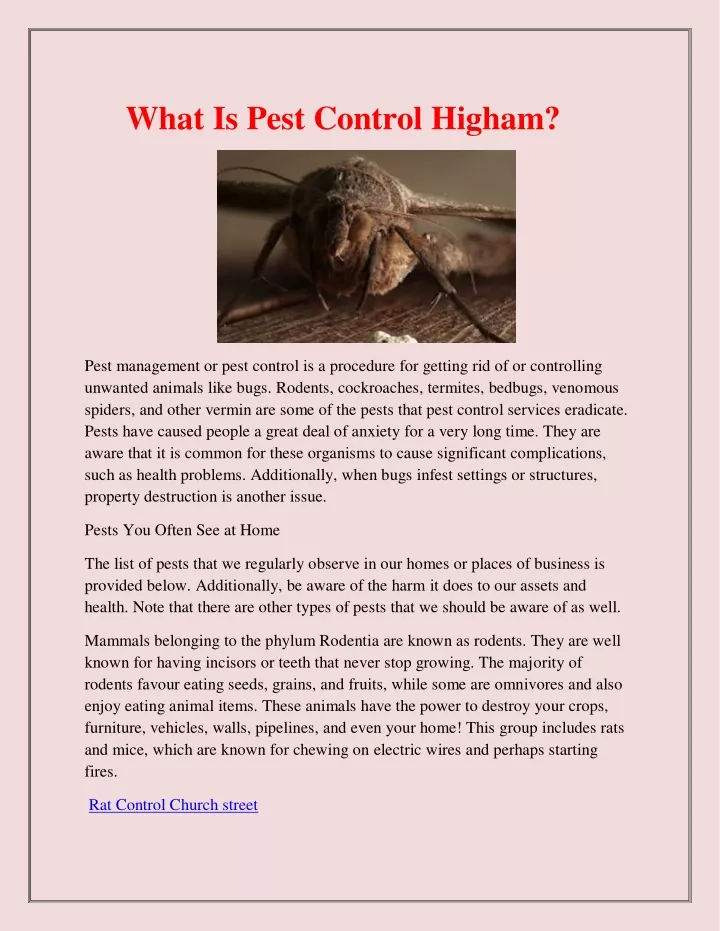 what is pest control higham