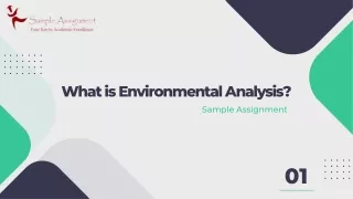 What is Environmental Analysis  Sample Assignment