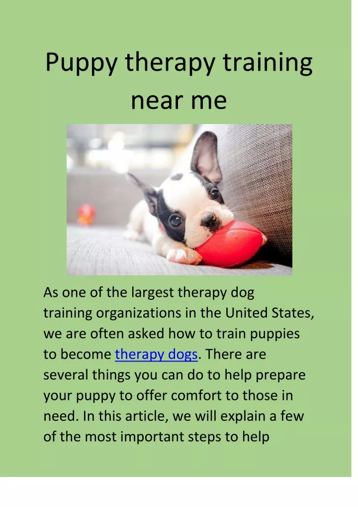 puppy therapy training near me
