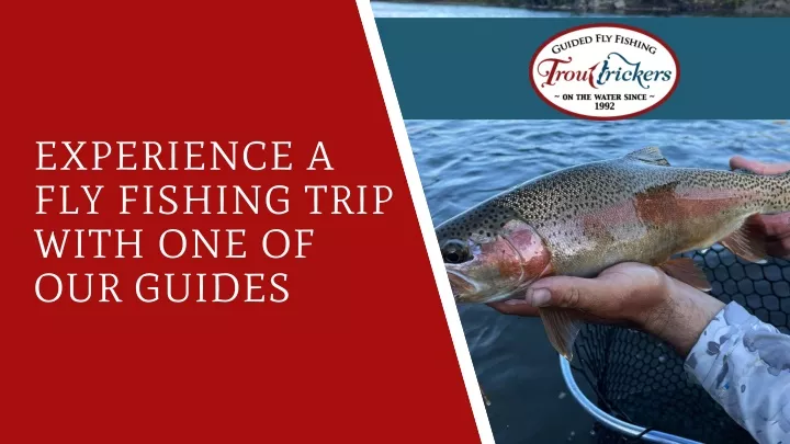 experience a fly fishing trip with