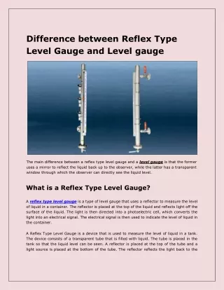 Reflex Type Level Gauge and Level gauge