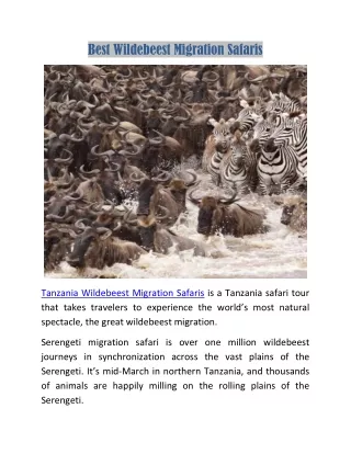 Best Wildebeest Migration Safaris