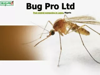 Get Rid Of Mosquito With Pest Control Firm in Lagos