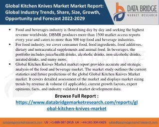 Global Kitchen Knives Market