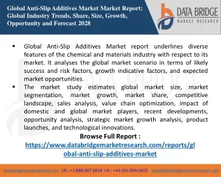 Global Anti-Slip Additives Market