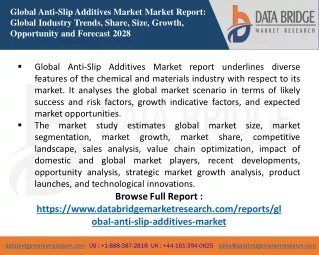 Global Anti-Slip Additives Market