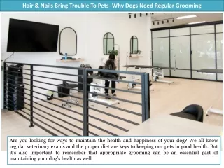 Hair and Nails Bring Trouble To Pets- Why Dogs Need Regular Grooming