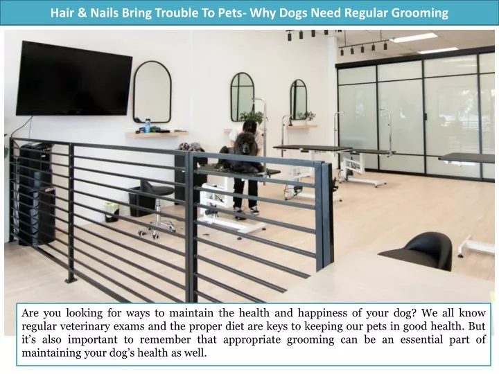 hair nails bring trouble to pets why dogs need regular grooming