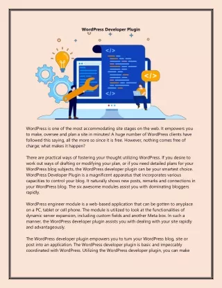 wordpress developer plugin
