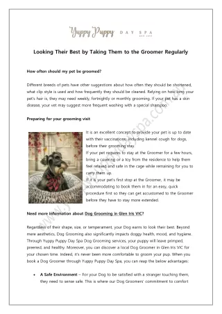 Dog grooming in Glen Iris VIC