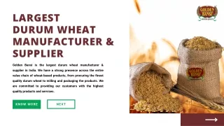 Largest  Durum Wheat Manufacturer & Supplier- Golden Bansi