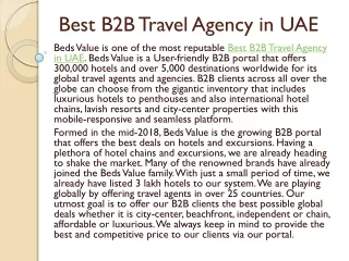 Best B2B Travel Agency in UAE