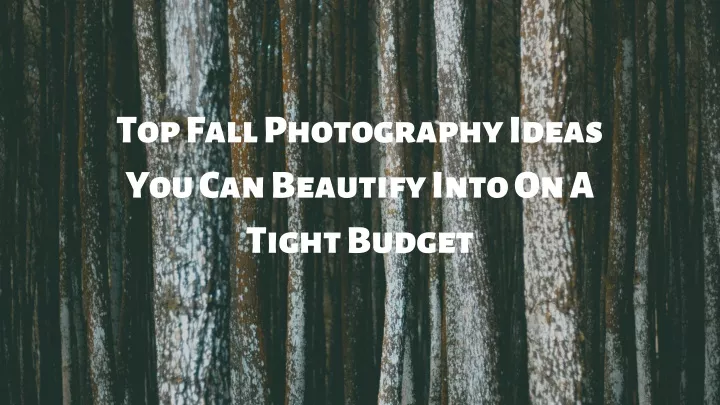 top fall photography ideas you can beautify into