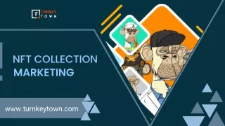 nft collection