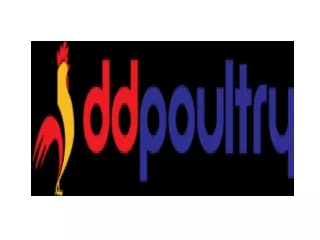Wholesale Restaurant Meat Suppliers