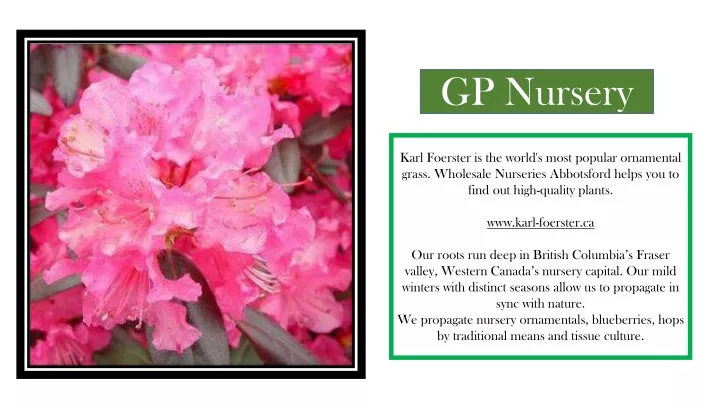 gp nursery