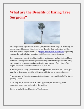 what are the benefits of hiring tree surgeons