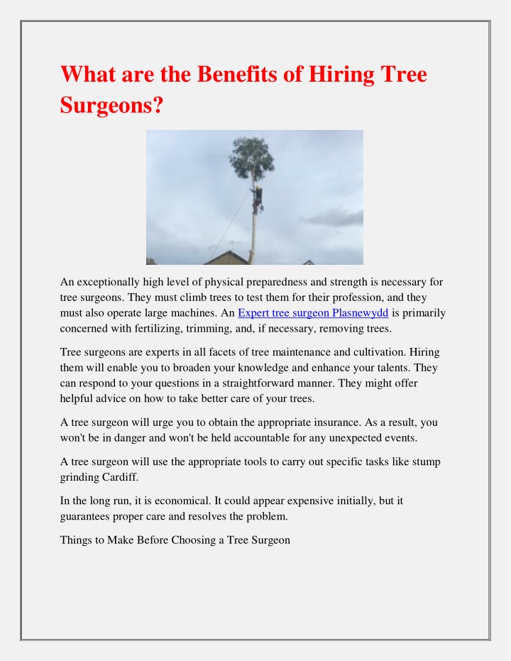 what are the benefits of hiring tree surgeons