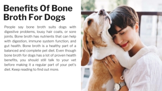 Benefits Of Bone Broth For Dogs