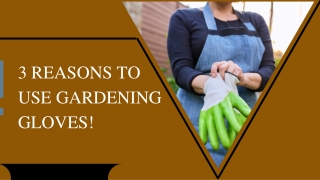 3 Reasons to use gardening Gloves!